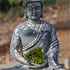Buddha holding moss